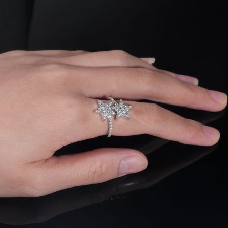 Diamond Hair, European And American Cross-Border Hot-Selling High-End S925 Silver-Inlaid D-Color Moissanite Personality Hip-Hop Style Star Ring - Image 4